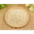 China Rice Sorghum Supplier